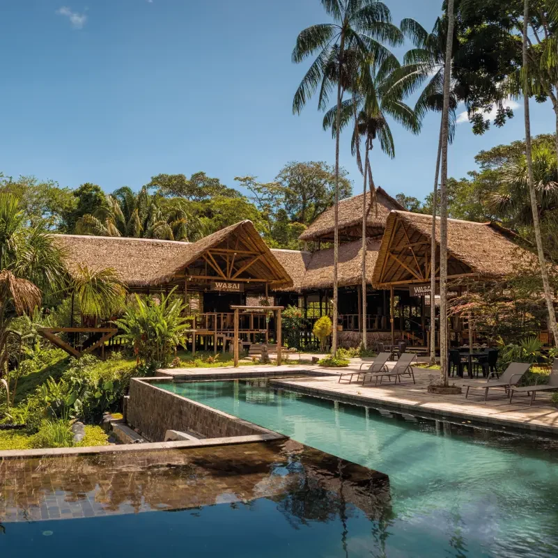 Wasai Lodge Tambopata - piscina y selva amazónica