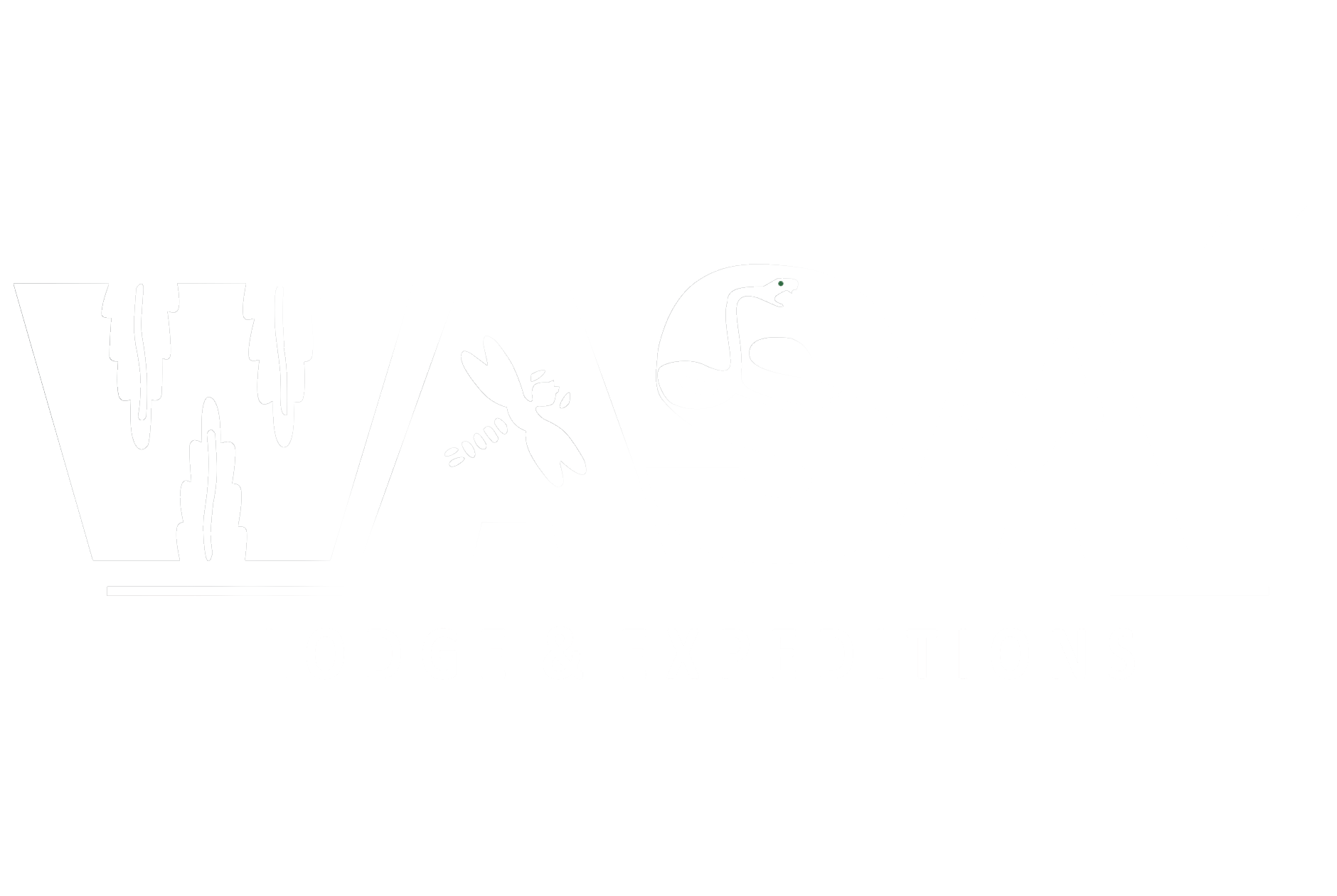 Wasai Lodge & Expeditions